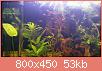         

:  DSC_0146.jpg
:  471
:  53,5 KB