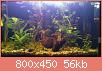         

:  DSC_0145.jpg
:  490
:  56,5 KB