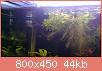         

:  DSC_0147.jpg
:  452
:  44,3 KB