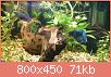         

:  DSC_0158.jpg
:  457
:  71,0 KB