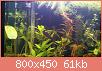         

:  DSC_0160.jpg
:  462
:  60,7 KB