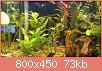        

:  DSC_0163.jpg
:  457
:  73,1 KB