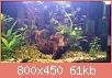         

:  DSC_0152.jpg
:  518
:  61,0 KB