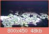         

:  DSC_0143.jpg
:  310
:  47,6 KB