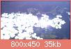        

:  DSC_0147.jpg
:  288
:  34,7 KB