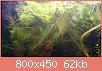         

:  DSC_0148.jpg
:  296
:  61,9 KB