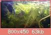         

:  DSC_0149.jpg
:  343
:  63,1 KB