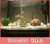         

:  PB150897.jpg
:  250
:  51,5 KB