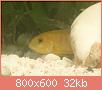         

:  PB150877.jpg
:  238
:  31,6 KB