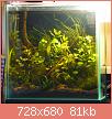         

:  2012-09-02-tankpic_81.jpg
:  292
:  81,2 KB