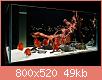         

:  16_1aquarium_red_discus_fishtank.jpg
:  714
:  49,5 KB