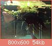         

:  ImageUploadedByTapatalk1385905494.003623.jpg
:  344
:  54,4 KB