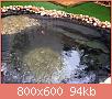         

:  pond (36).jpg
:  1461
:  94,5 KB