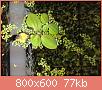         

:  image.jpg
:  455
:  77,0 KB