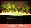         

:  DSC06513.jpg
:  322
:  58,6 KB