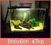         

:  DSCF0030.jpg
:  1874
:  46,8 KB