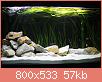         

:  _MG_5128.jpg
:  767
:  57,1 KB
