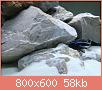         

:  DSCF0161.jpg
:  457
:  58,5 KB