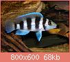         

:  14_02_12_06_5_46_57.jpg
:  331
:  68,2 KB