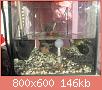         

:  IMG_3856a.jpg
:  3609
:  146,5 KB