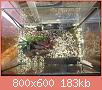         

:  IMG_3857a.jpg
:  2806
:  182,8 KB