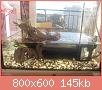        

:  IMG_3858a.jpg
:  7148
:  144,5 KB
