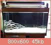         

:  DSC_1636.jpg
:  839
:  45,2 KB