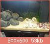         

:  uploadfromtaptalk1389891552668.jpg
:  288
:  53,0 KB