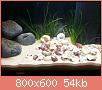         

:  uploadfromtaptalk1389893667163.jpg
:  1771
:  53,6 KB