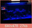         

:  ImageUploadedByTapatalk1390753451.817949.jpg
:  487
:  27,1 KB