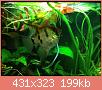         

:  ImageUploadedByTapatalk1391164640.018588.jpg
:  889
:  199,3 KB
