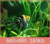         

:  ImageUploadedByTapatalk1391170270.532016.jpg
:  1489
:  160,2 KB