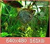         

:  ImageUploadedByTapatalk1391170291.961158.jpg
:  881
:  161,0 KB