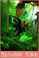         

:  ImageUploadedByTapatalk1391175519.831030.jpg
:  692
:  52,6 KB