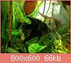         

:  ImageUploadedByTapatalk1391175574.685482.jpg
:  739
:  66,4 KB