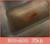        

:  P2022274.jpg
:  1676
:  34,5 KB