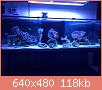        

:  ImageUploadedByTapatalk1392099657.951482.jpg
:  253
:  118,2 KB