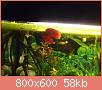         

:  P2150041.jpg
:  475
:  58,2 KB