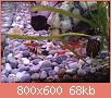         

:  20140218_223047.jpg
:  292
:  68,5 KB