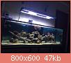         

:  ImageUploadedByTapatalk1392904571.233006.jpg
:  342
:  47,0 KB