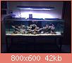         

:  ImageUploadedByTapatalk1392904586.081576.jpg
:  334
:  42,0 KB