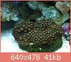         

:  ImageUploadedByTapatalk1394133972.915115.jpg
:  393
:  40,7 KB