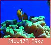         

:  ImageUploadedByTapatalk1394134006.754814.jpg
:  369
:  28,6 KB