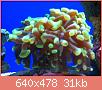         

:  ImageUploadedByTapatalk1394134062.915018.jpg
:  387
:  31,3 KB