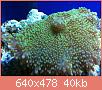         

:  ImageUploadedByTapatalk1394134091.832415.jpg
:  382
:  39,8 KB
