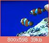         

:  ImageUploadedByTapatalk1394649572.197082.jpg
:  364
:  39,2 KB