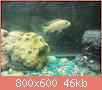         

:  1618010_10201595844724601_1546597408_o.jpg
:  367
:  46,3 KB