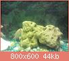         

:  10147813_10201595843724576_763533371_o.jpg
:  357
:  43,8 KB