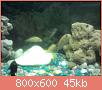         

:  10148346_10201595845204613_1787019073_o.jpg
:  343
:  45,1 KB