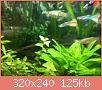         

:  ImageUploadedByTapatalk1395140130.498527.jpg
:  558
:  124,7 KB